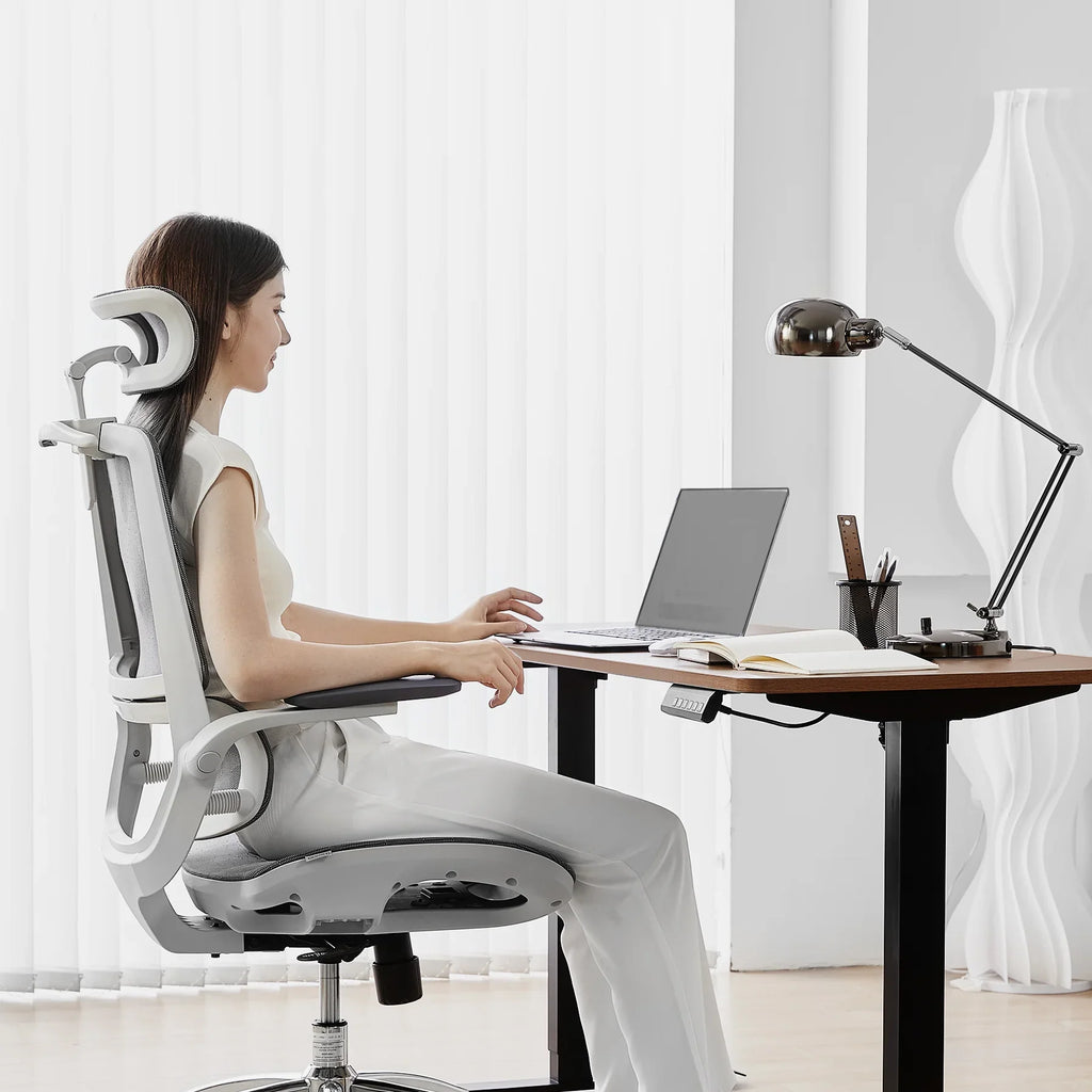2025 Silla de Oficina Ergonómica Sihoo M59AS con Respaldo de Dos Secciones y Reposabrazos 3D Abatibles