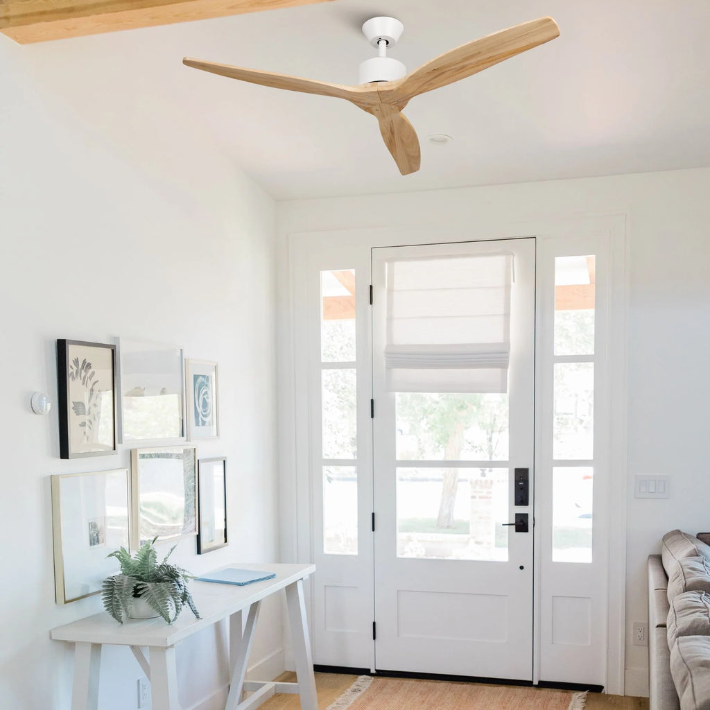 Brizy Light Wood