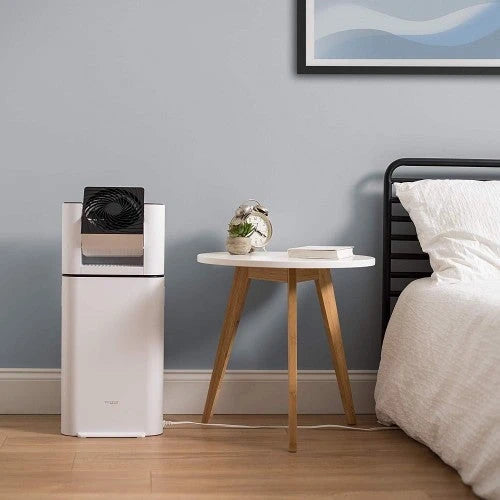 IRIS USA, Inc. DHM-DDC50 Deshumidificador con Ventilador Circulador, Blanco