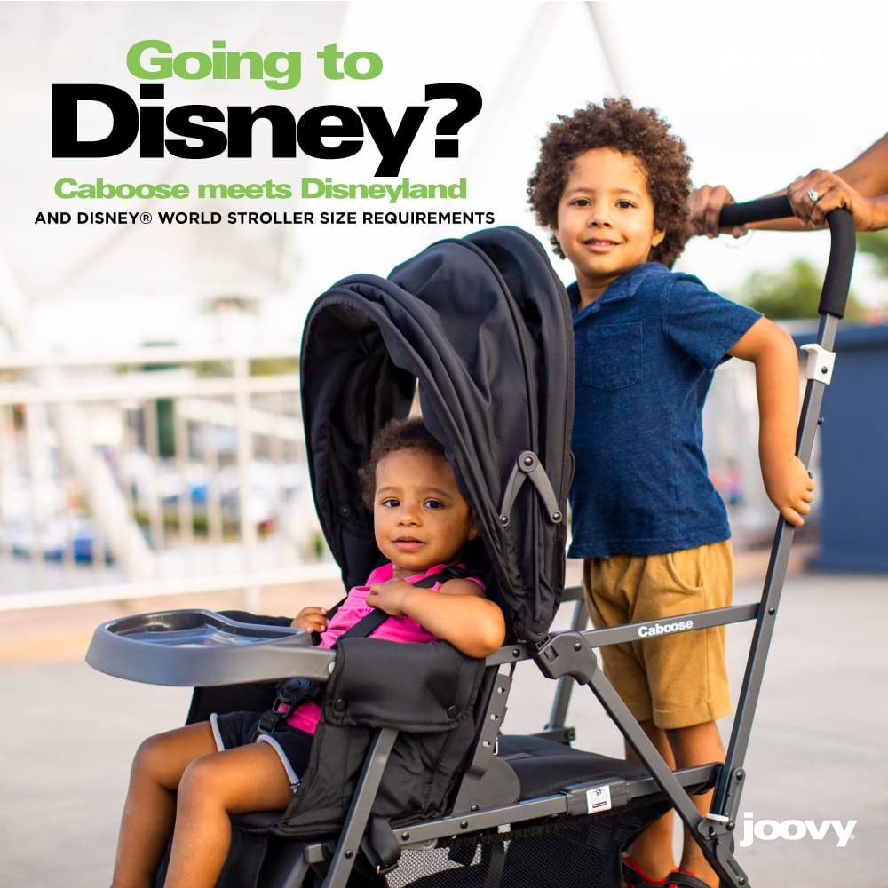 Joovy Caboose Graphite Cochecito Doble Appletree