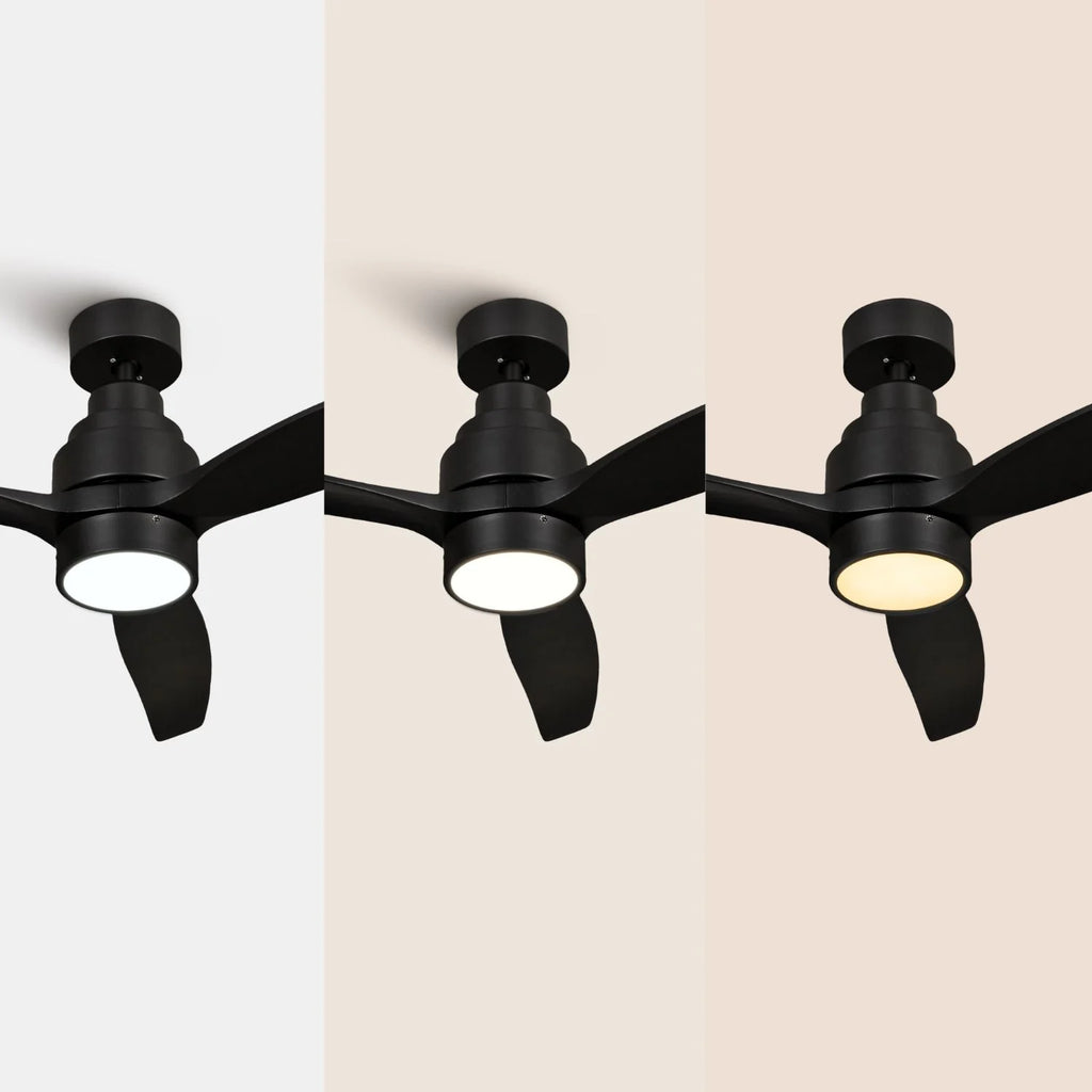 Brizy Bright Black