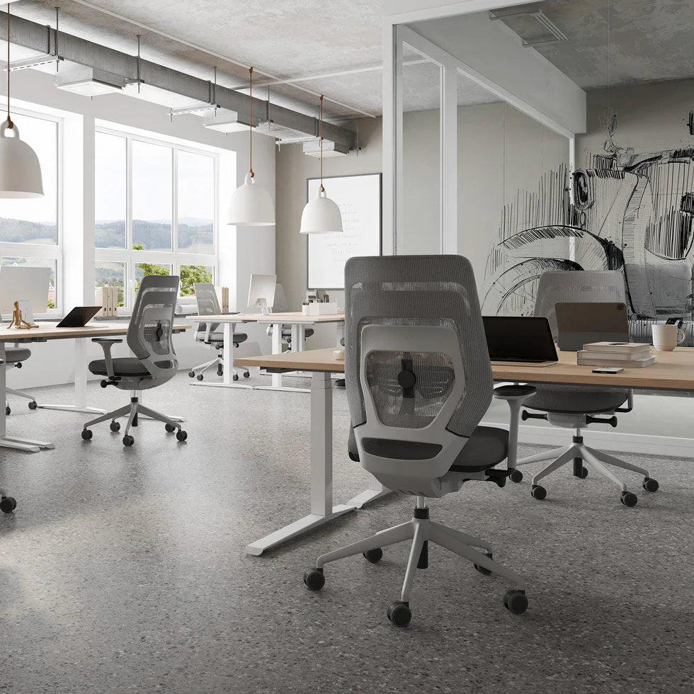 2025 Silla de Oficina Ergonómica FM Asiento – ¡Aprovecha un Descuento Inmediato! – Fabricada en Alemania