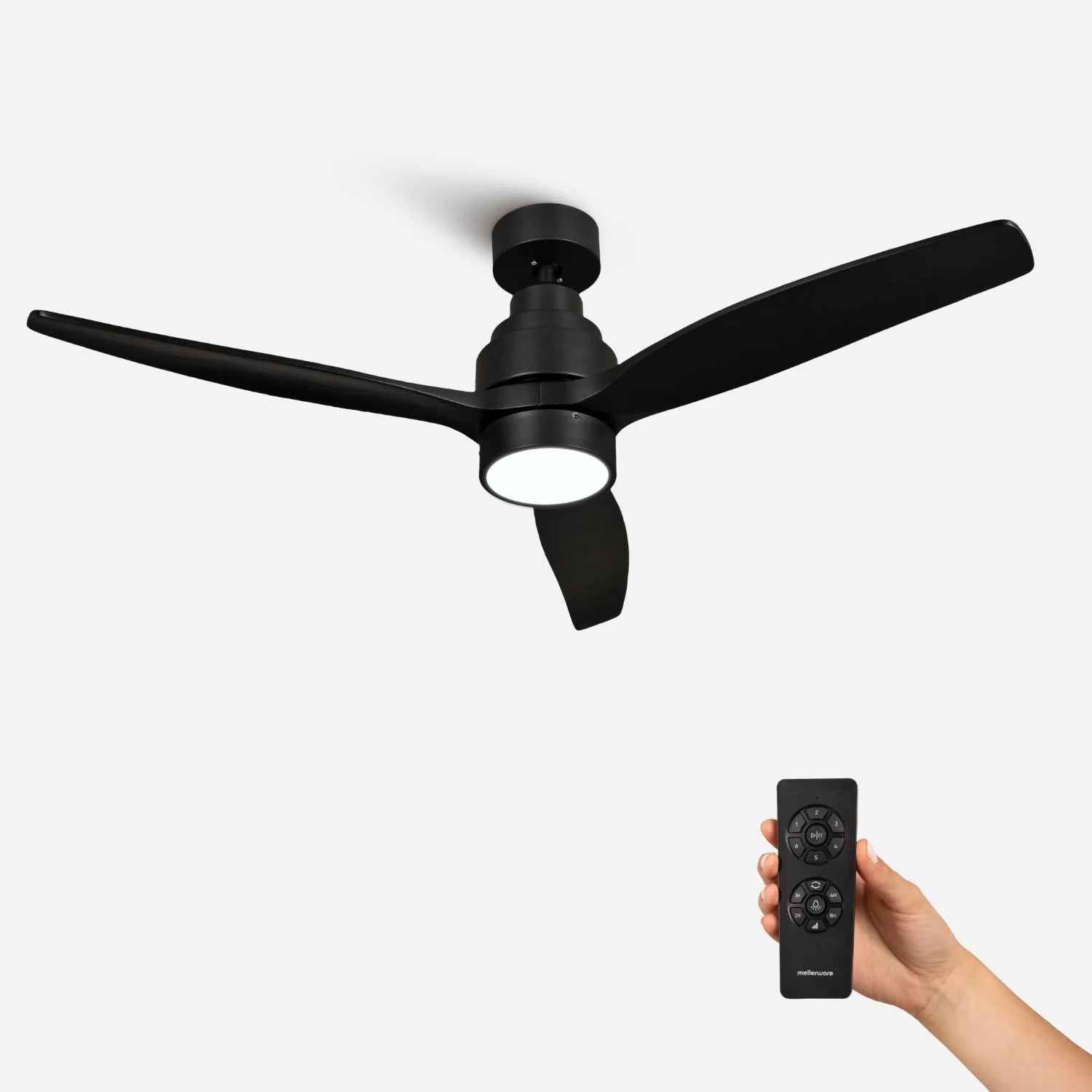 Brizy Bright Black