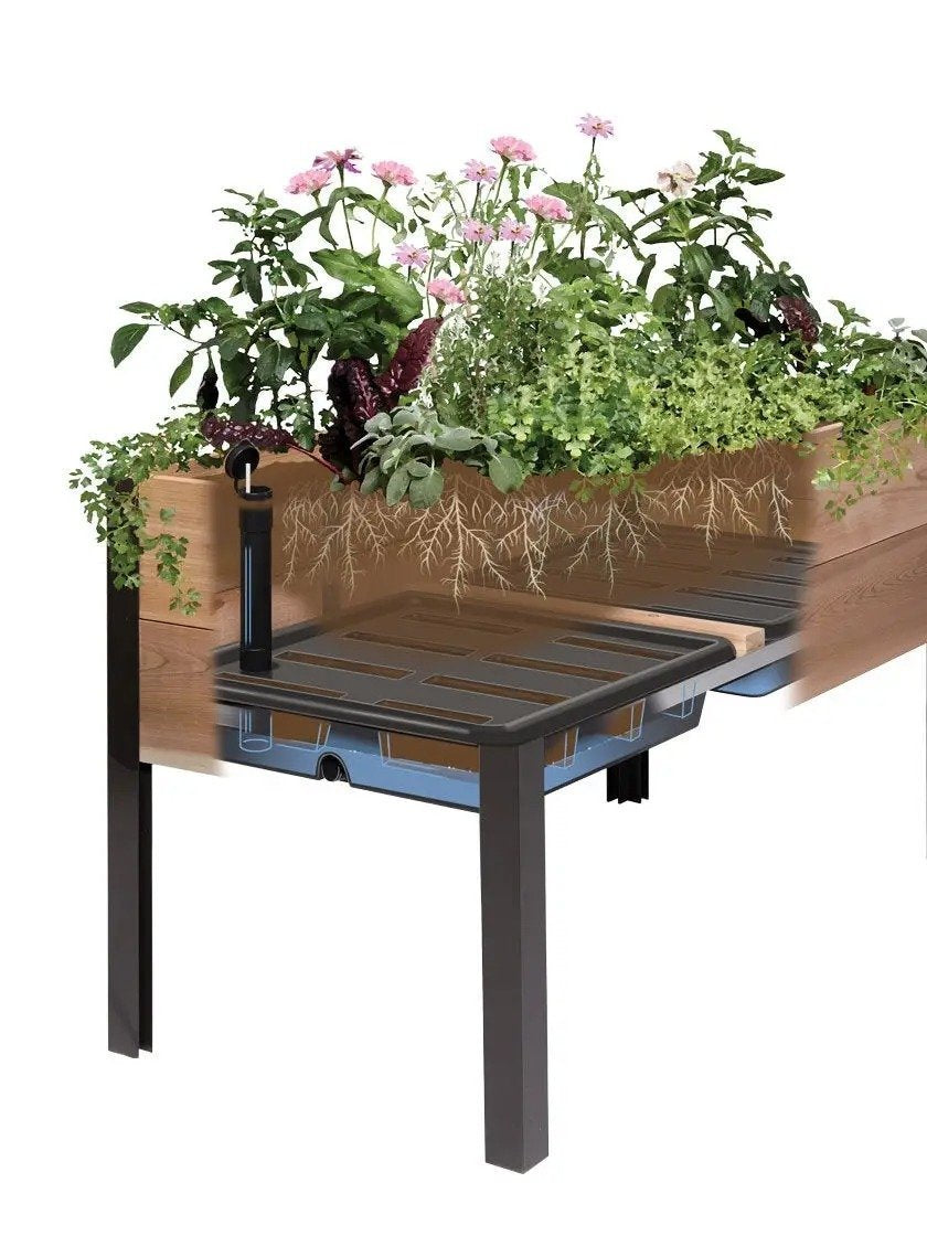 Oferta especial hoy en Mart: Últimos 30 juegos de maceteros elevados ecológicos con riego automático y acabado teñido