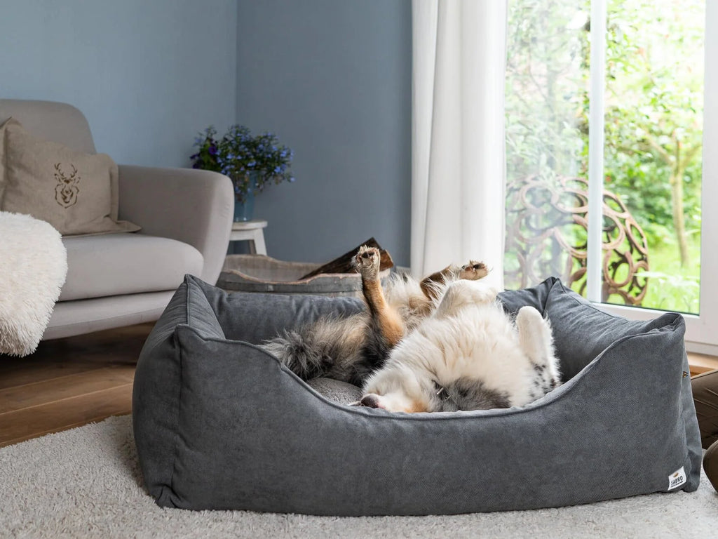2025 Cama para perro LALELU