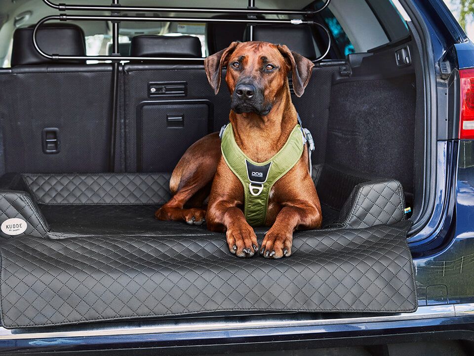 2025 Cama de coche para perro Vagn
