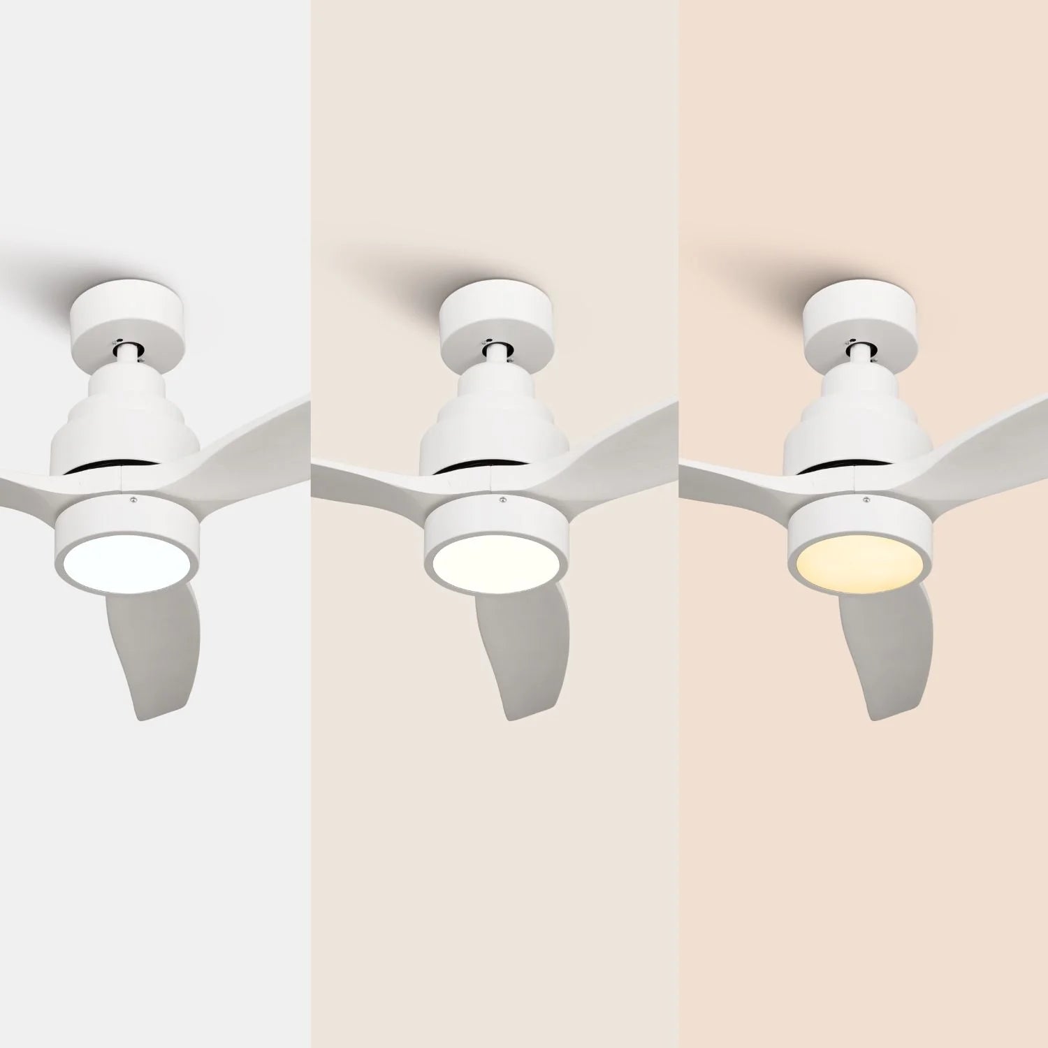 Brizy Bright White