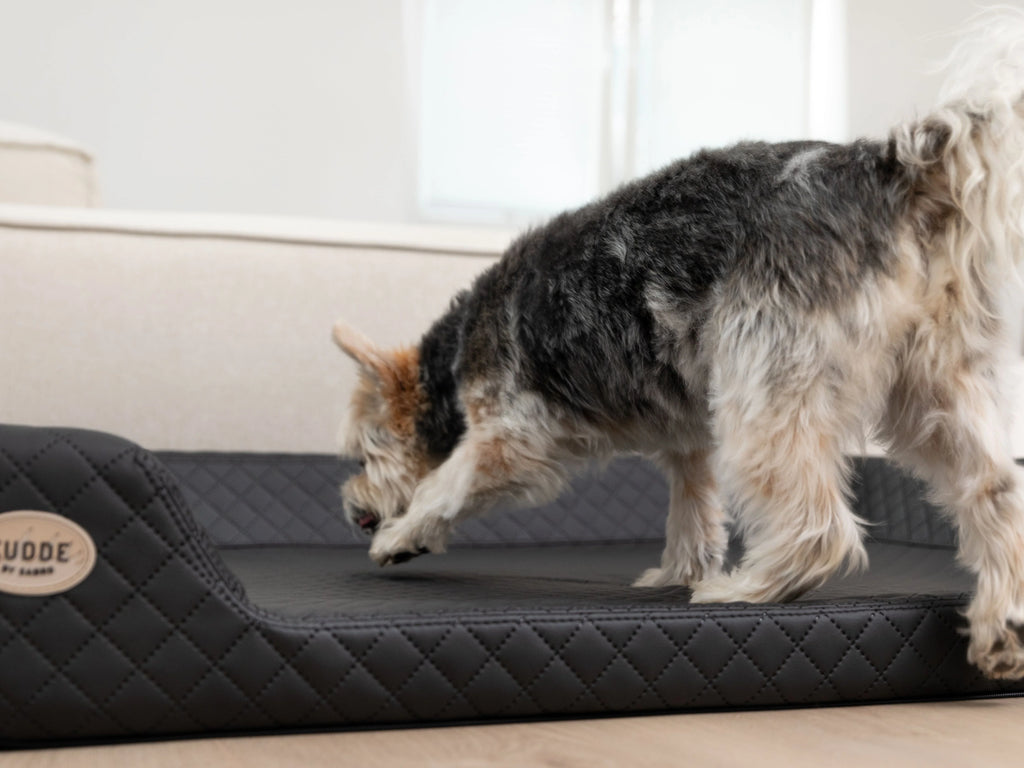 2025 Cama para perro Hemma