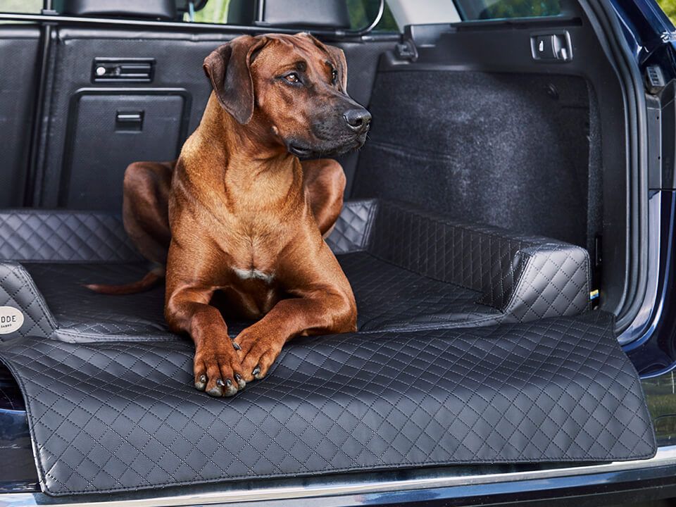2025 Cama de coche para perro Vagn